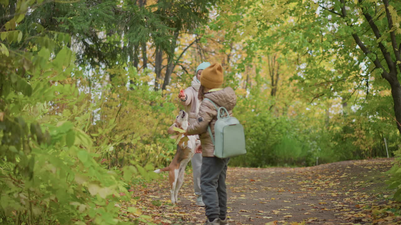 woman bends near bush picking autumn leaf while walking dog, daughter walks ahead holding leaves in hand, surrounded by lush fall foliage on peaceful forest trail under soft daylight