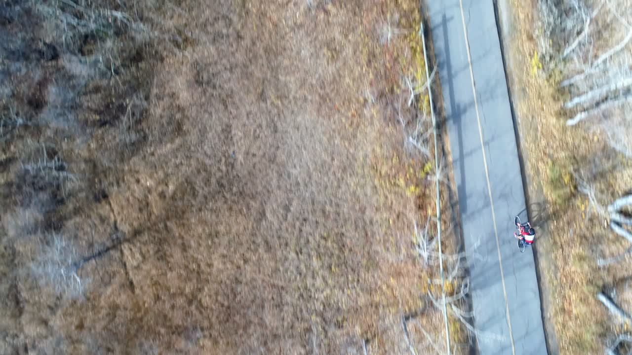숲 4k에서 시골 도로를 통해 자전거 타는 자전거 타는 공중