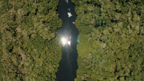 abundant mangrove forest in el paredon, guatemala - aerial top down