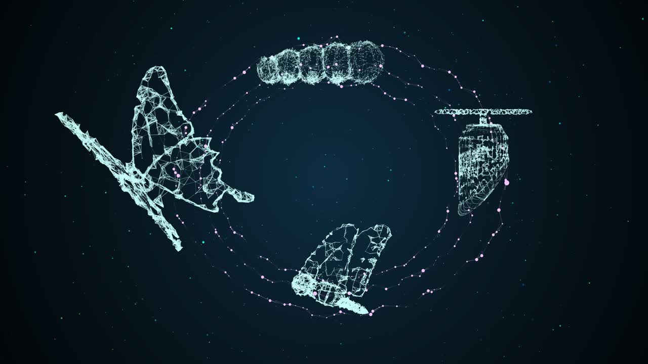 나비 성장과 진화, 변혁 개념, 현존, 리더십, 경영, 디지털 금융, 비즈니스, 혁신, 기술 파괴