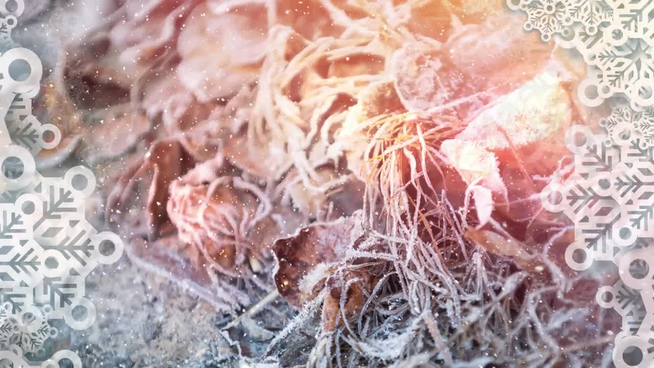 땅 위의 건조한 잎과 뿌리에 떨어지는 눈에 비해 눈송이의 디지털 애니메이션