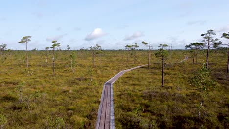 Puente-Peatonal-De-Madera-Solitario-Sobre-Un-Impresionante-Paisaje-De-Páramos-Altos-En-El-Parque-Nacional-De-Soomaa-En-Estonia