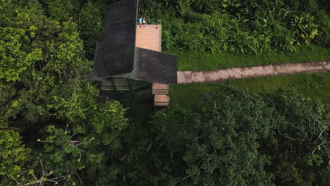 multiple people on an observation tower within the thick and leafy jungle of arenal volcano national park