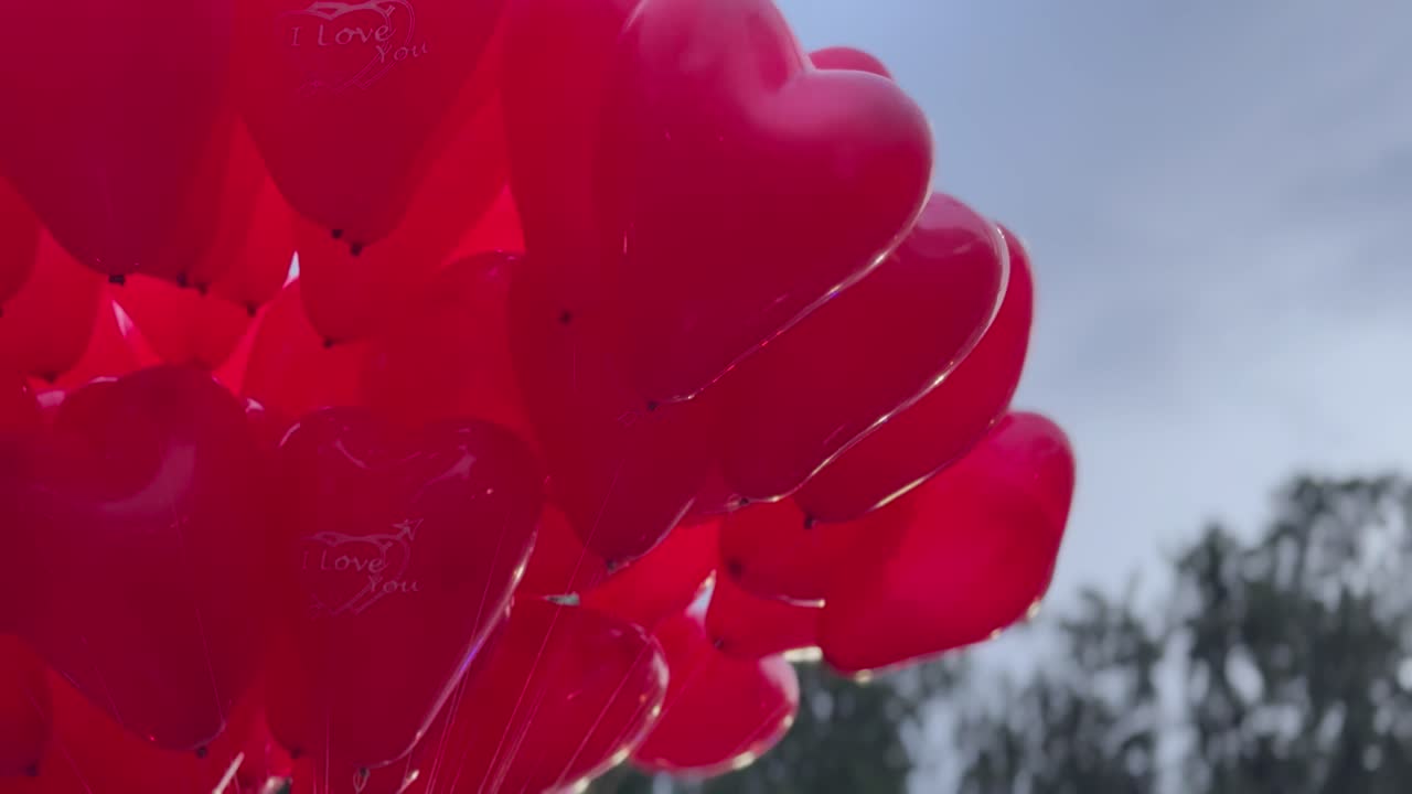 Heart-Shaped Balloons with I Love You Message, Valentine's Day Celebration