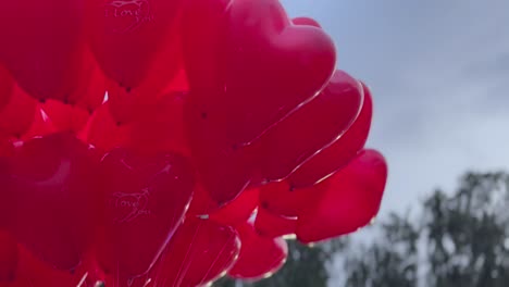 heart-shaped balloons with i love you message, valentine's day celebration