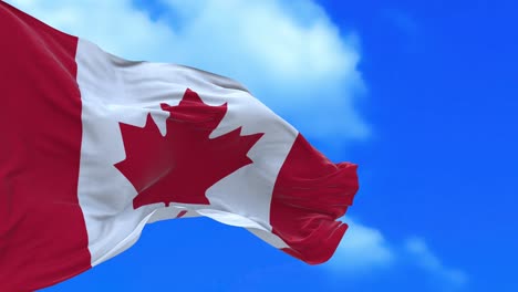 seamless loop of canadian flag.