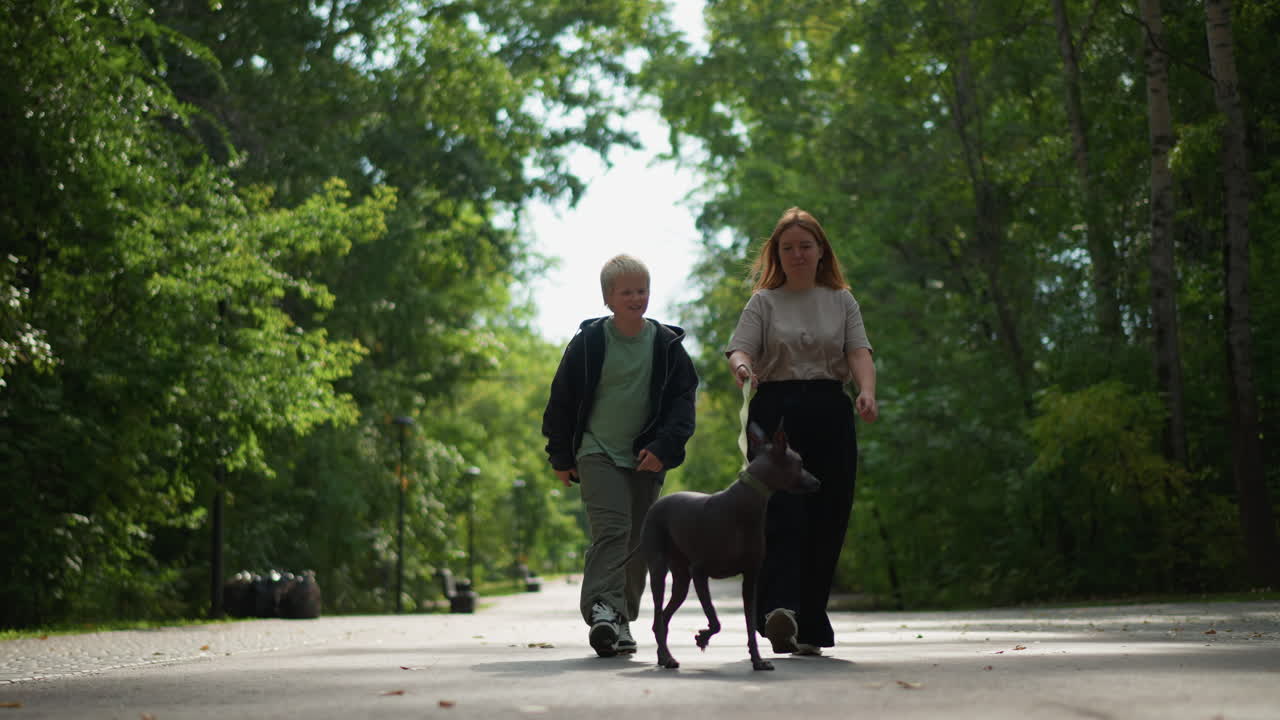 Woman And Boy Walking Dog Down Sunlit Path With Energetic Stride And Playful Mood Dog Trotting Beside Them, Wide Green Canopy, Open Park Road, Casual Attire, Morning Light, Friendly Exchange, Active