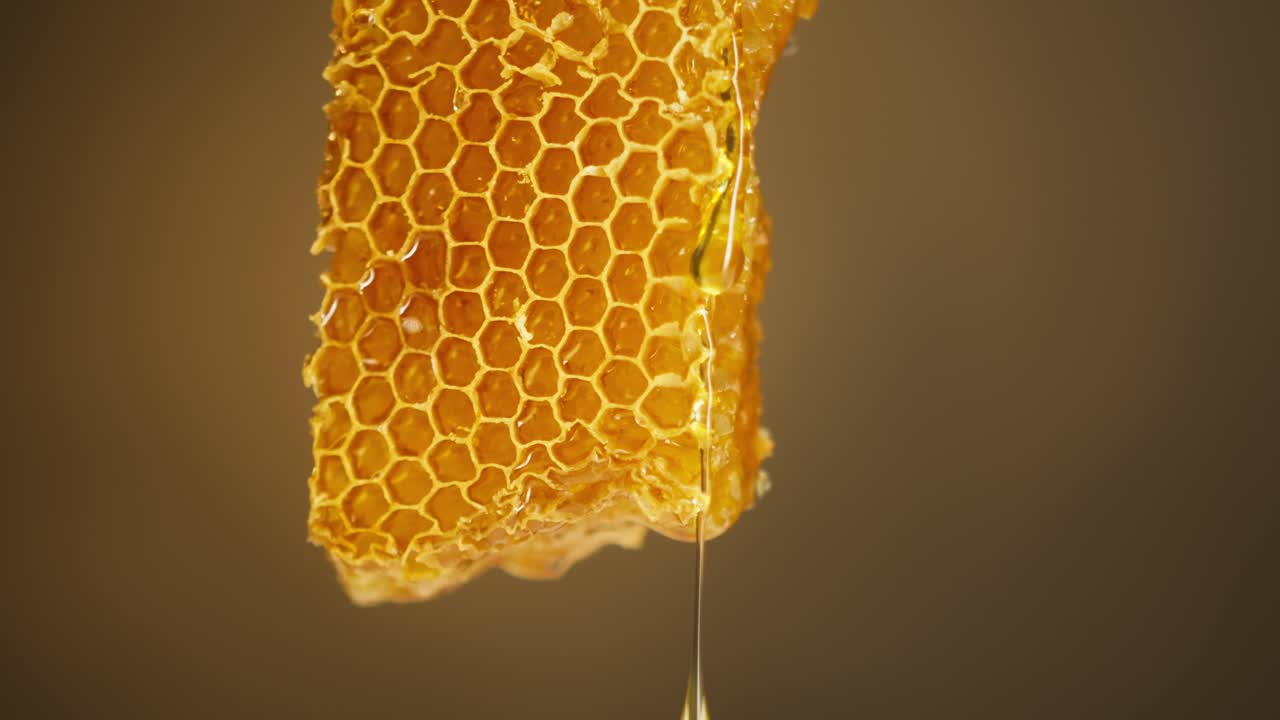Miele dorato che gocciola lentamente da un favo naturale.