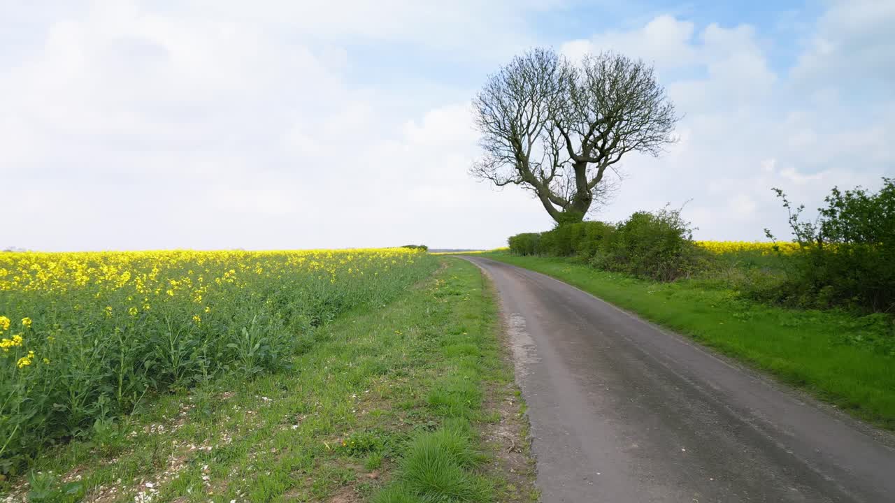 Lincolnshire Wolds' springtime magic: Aerial view of golden rapeseed, farmlands, and winding country paths.