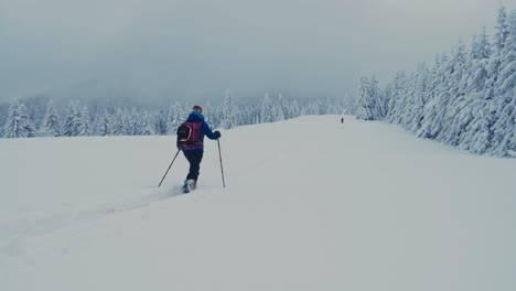 woman ski touring in snow covered winter landscape of slovakia, slow motion