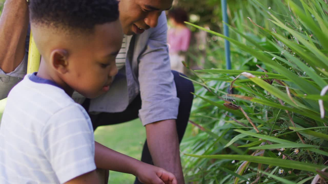 feliz padre e hijo afroamericanos, cuidando de las plantas al aire libre