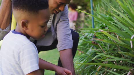 feliz padre e hijo afroamericanos, cuidando de las plantas al aire libre