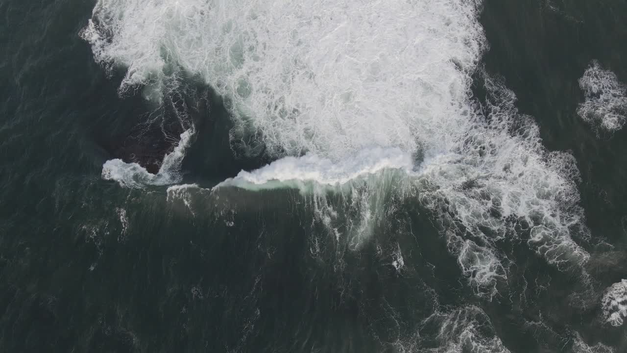 Bird's Eye View Of Bommie Waves Crashing On Rocks In Gordons Bay - Wealthy Housing On Peninsula Of Coogee City - Sydney, NSW, Australia