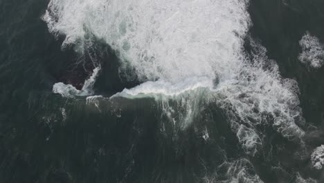 bird's eye view of bommie waves crashing on rocks in gordons bay - wealthy housing on peninsula of coogee city - sydney, nsw, australia