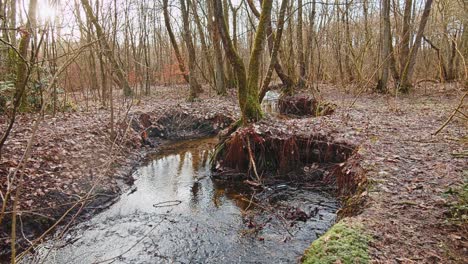 Der-Fluss-Im-Herbstwald-Und-Die-Sonne,-Die-Durch-Das-Laub-Scheint