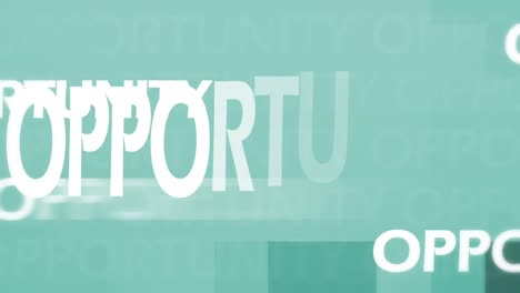 animación de la oportunidad