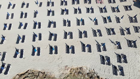 aerial over endless sun loungers spread across nissi beach sands, ayia napa cyprus