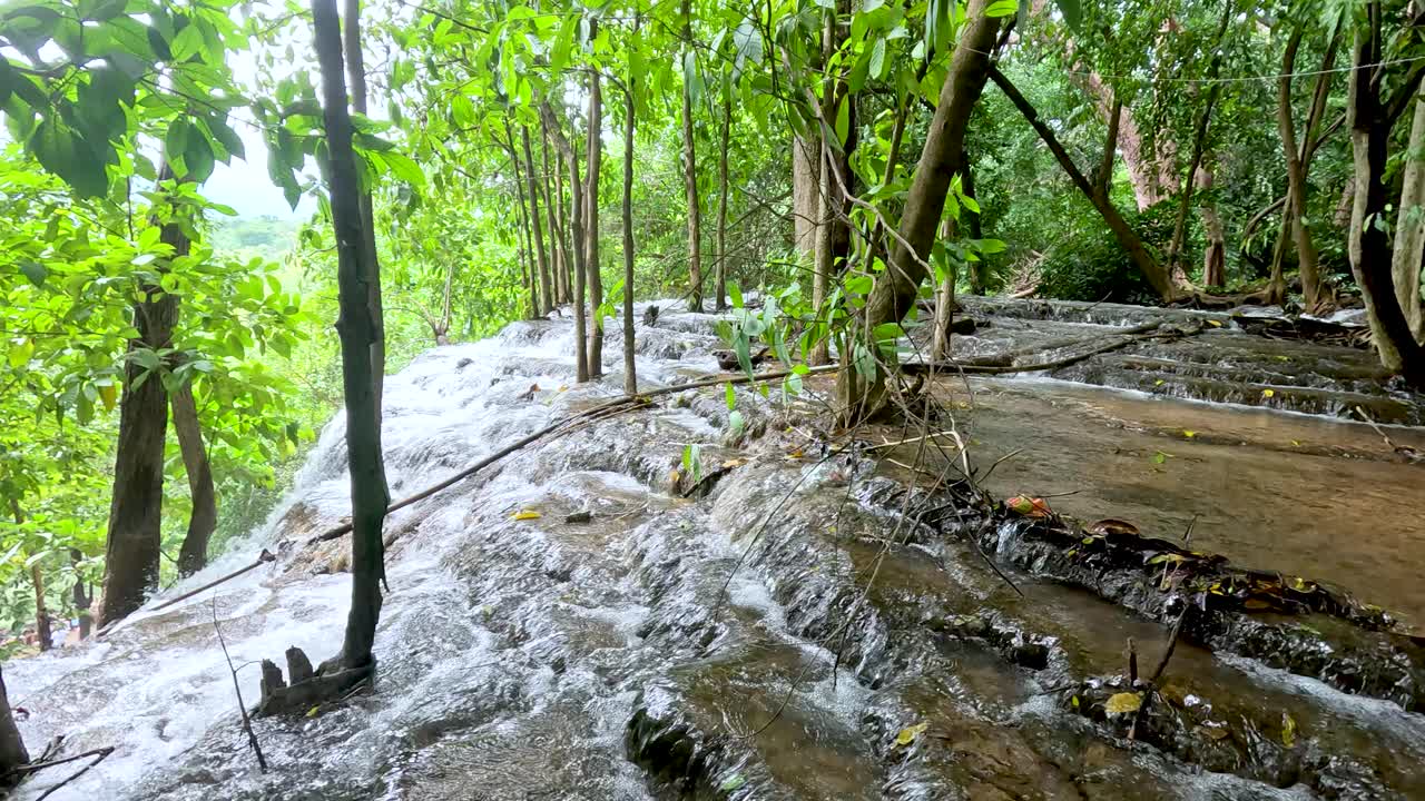 활기찬 푸른 숲을 가로질러 흐르는 물