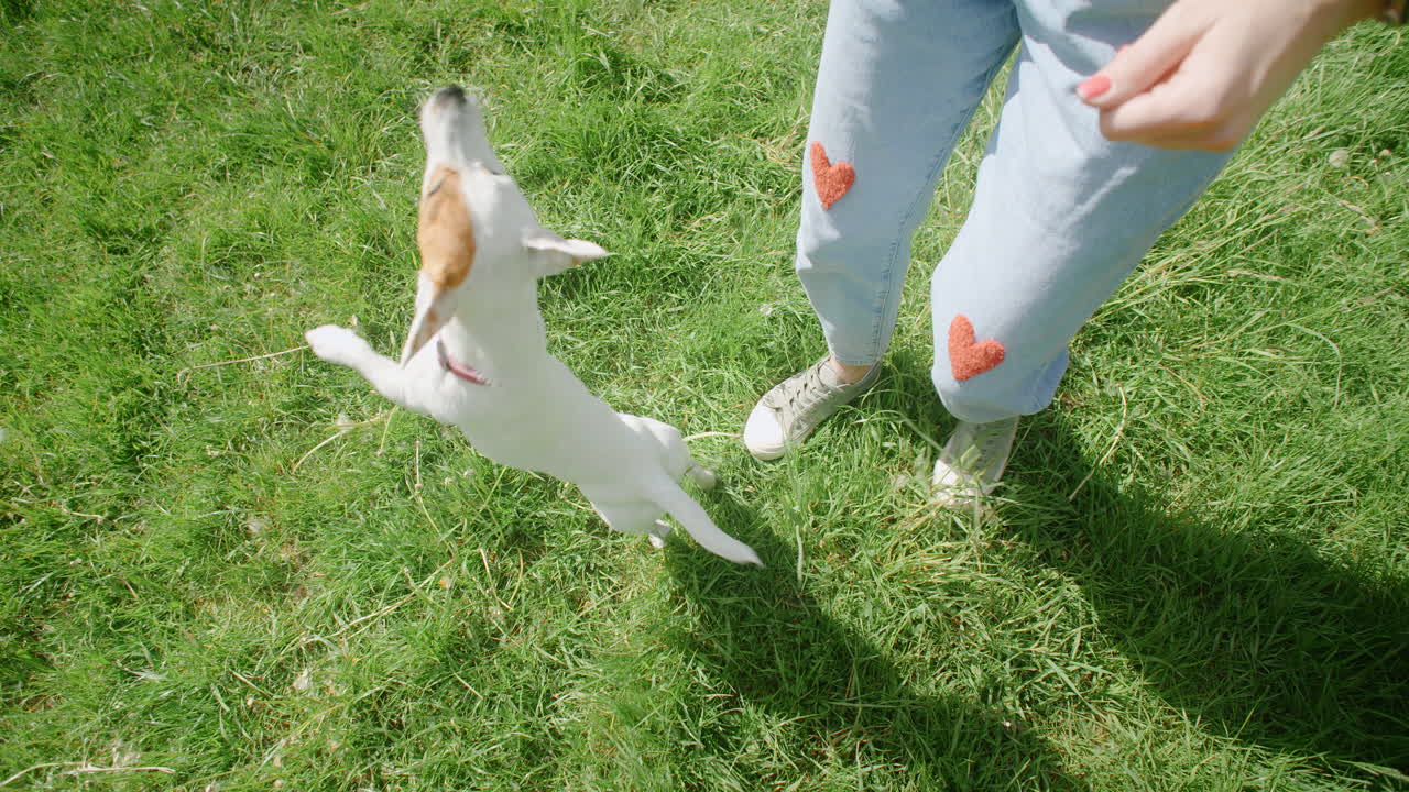 женщина гуляет с собакой в парке