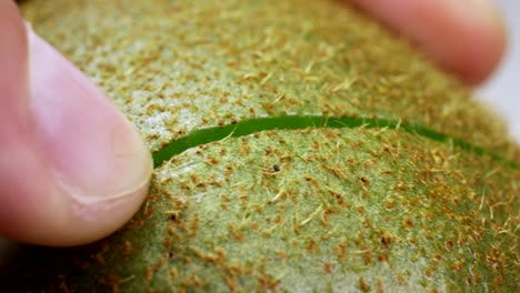 macro view of kiwi being cutted with a knife