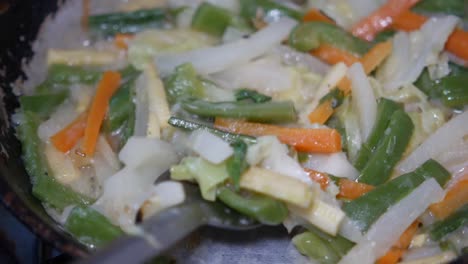 verduras fritas y salteadas