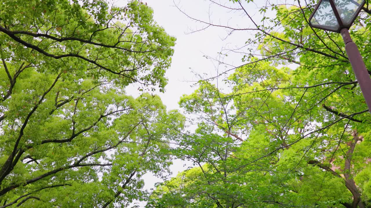la mejor vista en yokohama