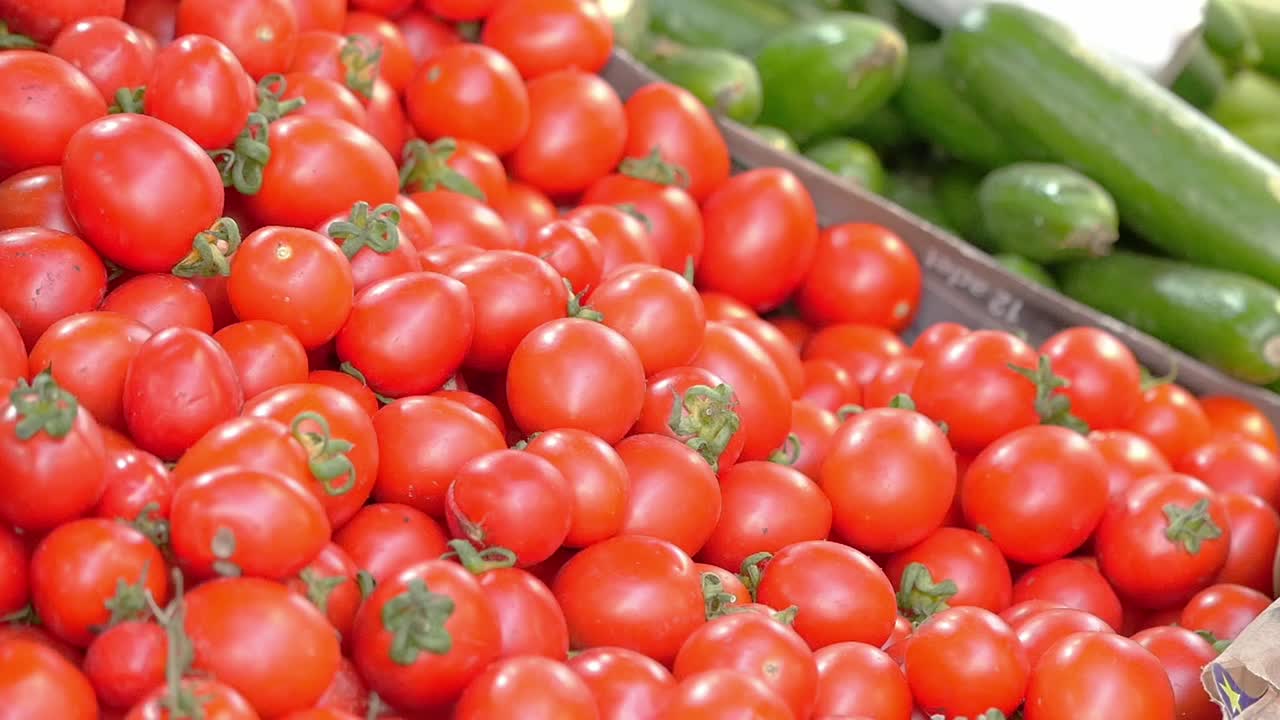 recogiendo tomates cereza a mano en un mercado