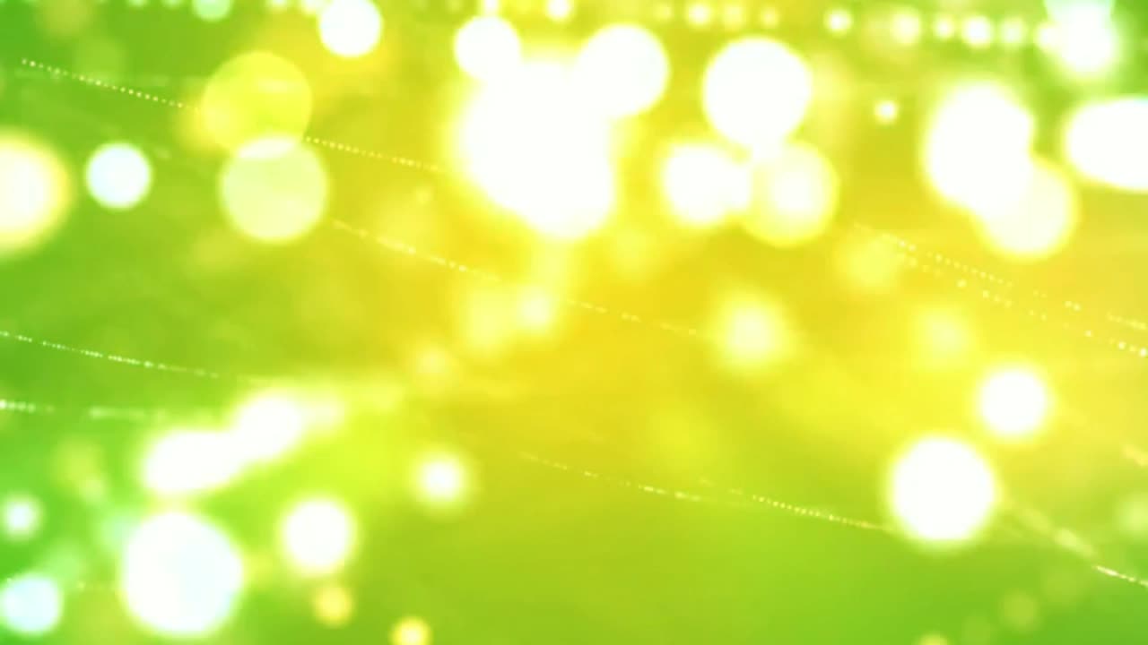 보케는 녹색 스크린 모션 그래픽을 조명합니다.