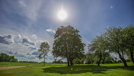 Static-view-of-amazing-view-of-green-grass-field-with-trees-during-daytime-in-timelapse