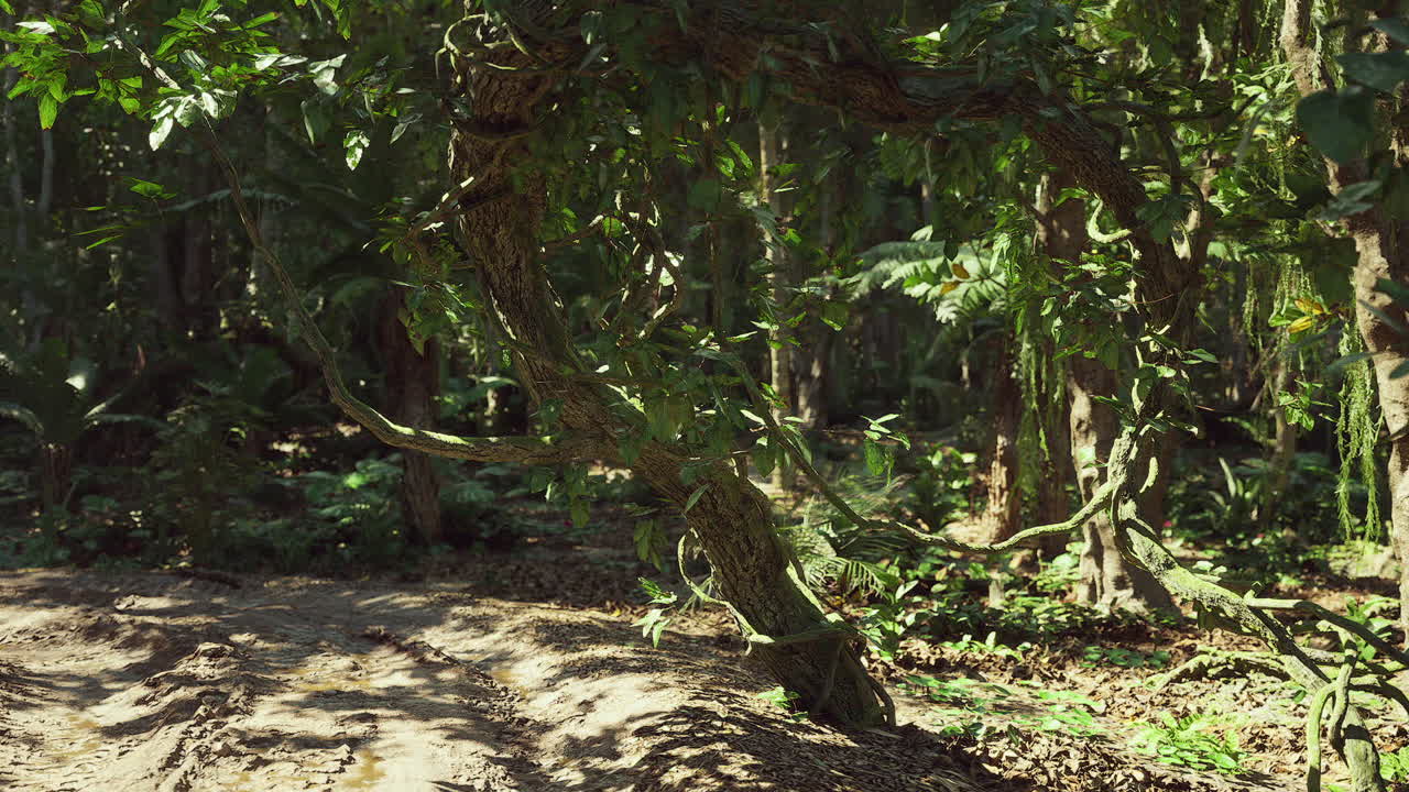 Unique twisted tree in the lush rainforest of peru showcasing natures beauty