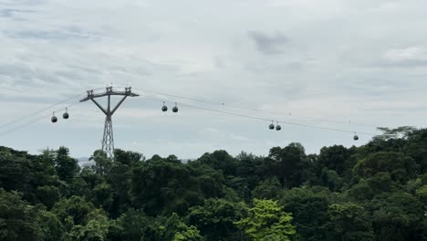 cable cars above forest trees in singapore