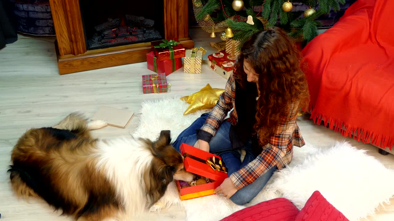 한 소녀가 그녀의 개에게 쿠키를 선물로 준다