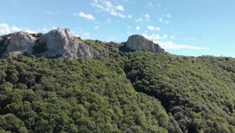 Drone-panning-shot-in-front-of-forest-and-high-cliffs