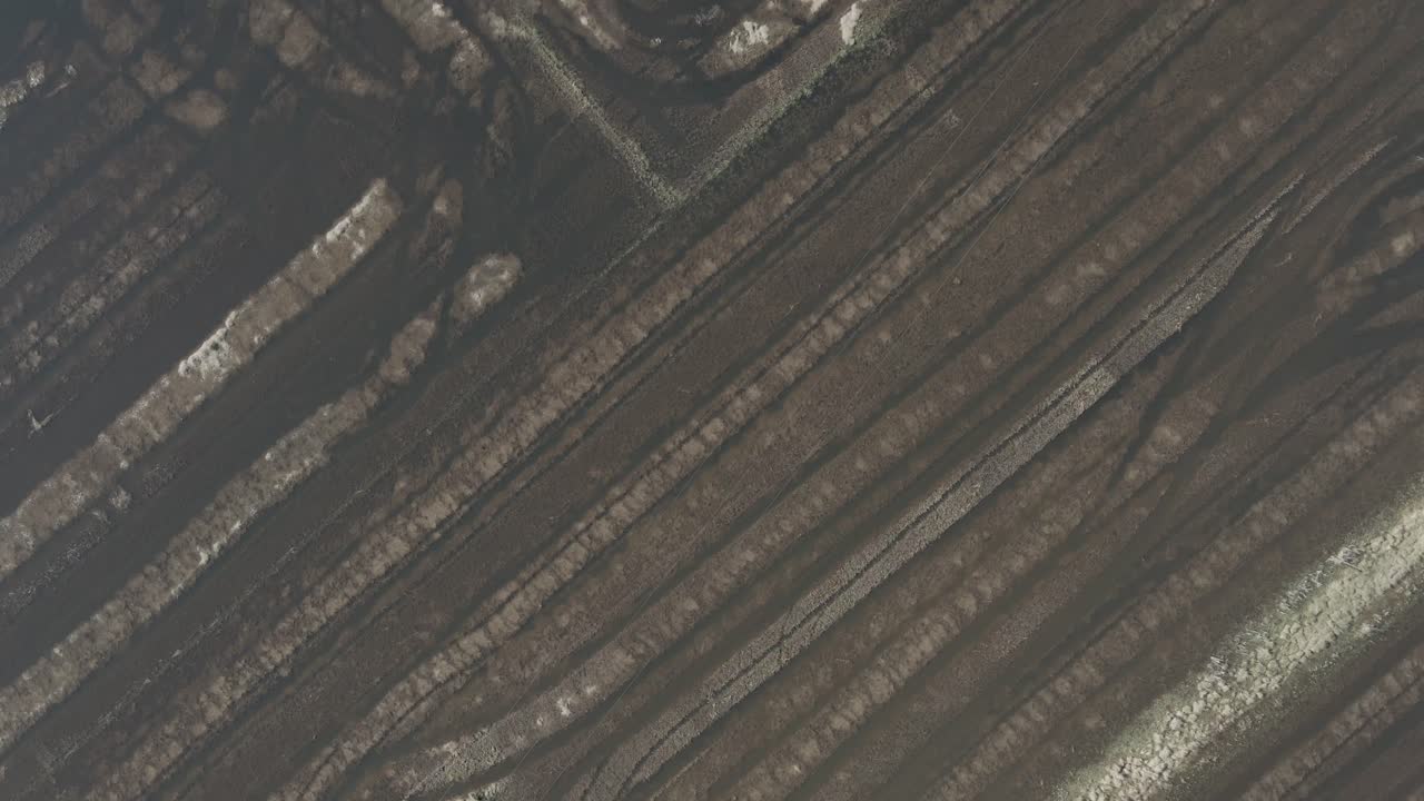 vista aérea de un campo de arroz