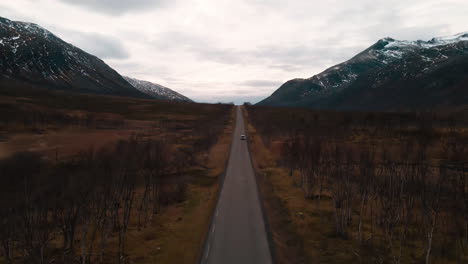 driving through the dry forest of tromso valley in norway -wide