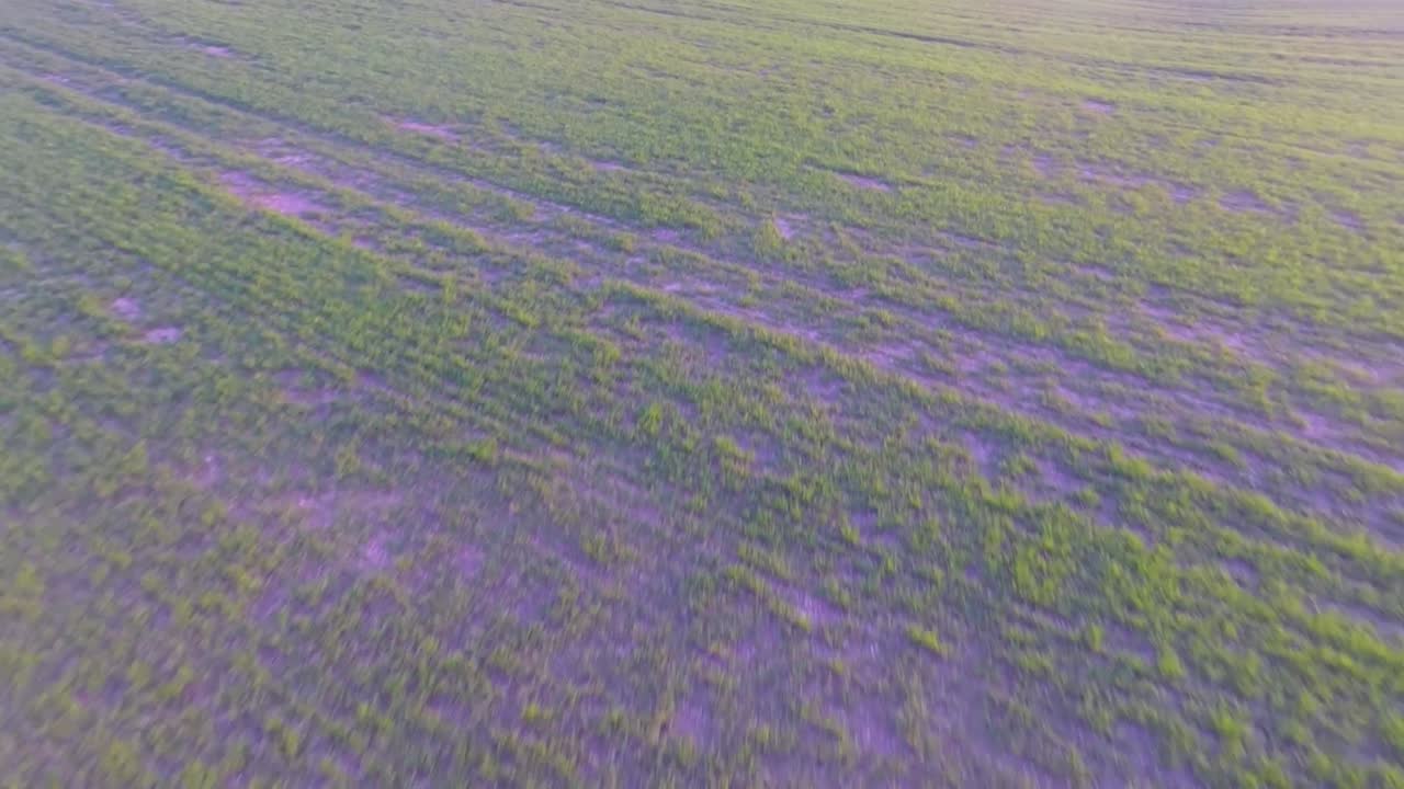 해가 천천히 지는 아름다운 노란 들판 위를 날다-5