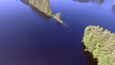 narrow cape in a finnish forest lake