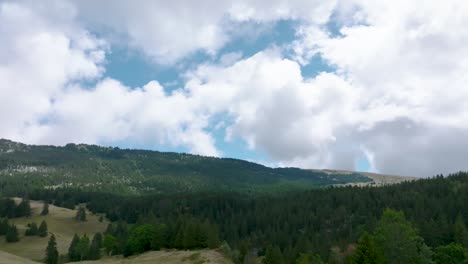 Valley-of-pine-and-clouds-cumulus-fractus