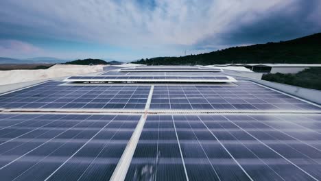 expansive solar power plant with rows of solar panels capturing sunlight in an open landscape