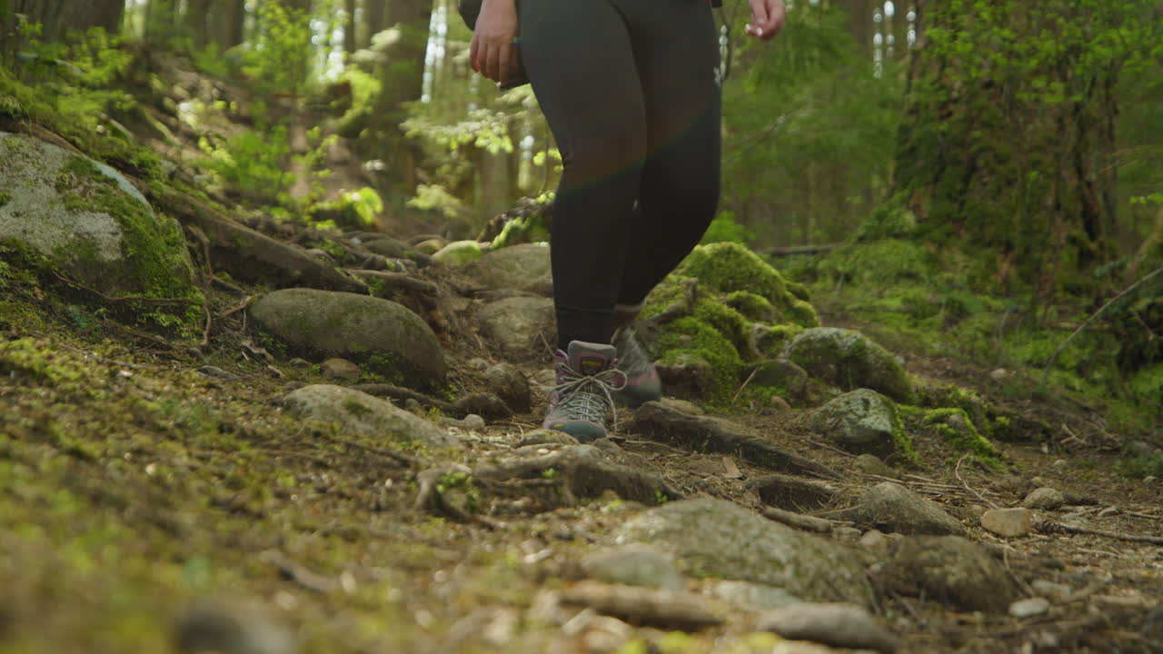 mujer caminando por un camino de piedras en el parque lynn canyon