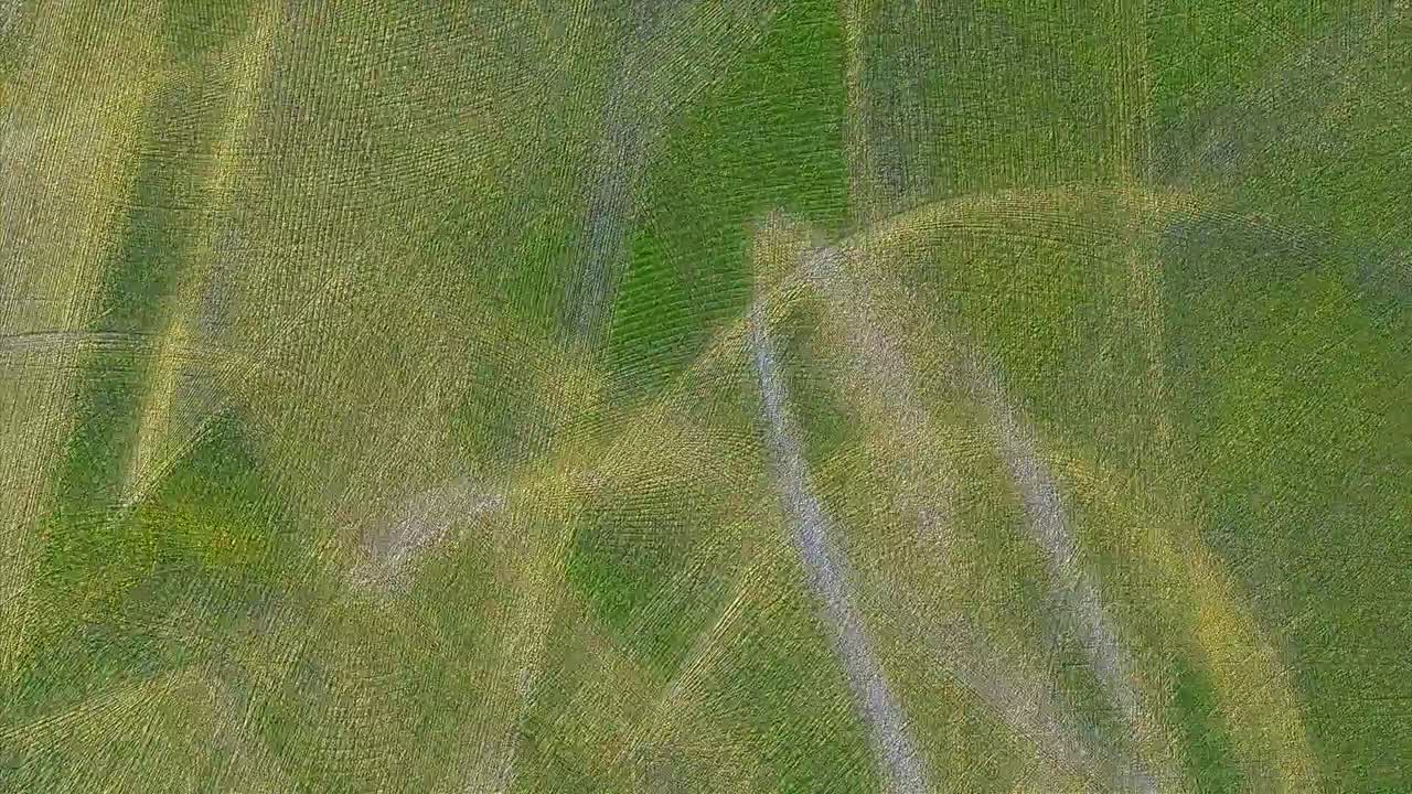 remolino de línea abstracta