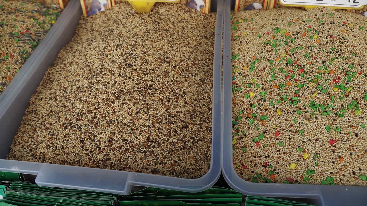 variedad de semillas de aves