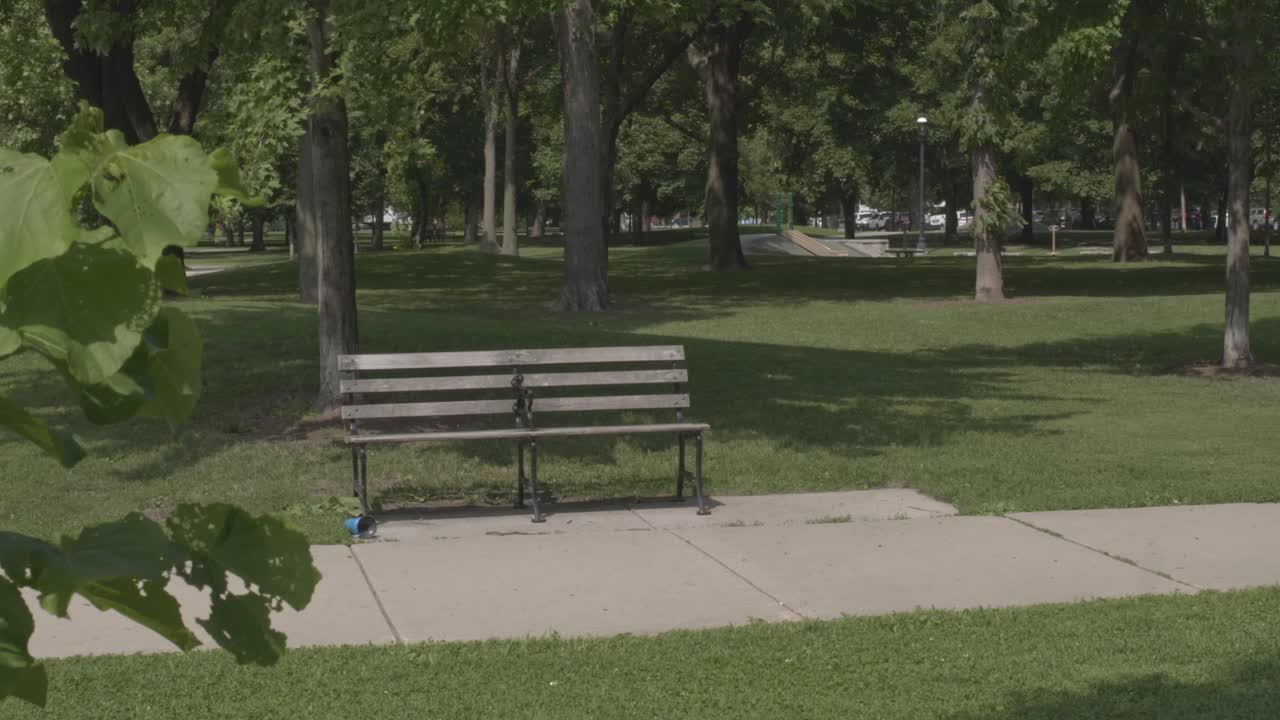 A couple getting from a park bench on a summer day in Chicago and walking away with their two huskies