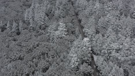 Ifrane-est-une-ville-et-commune-urbaine-du-Maroc-située-dans-le-Moyen-Atlas,-à-1-650-mètres-d'altitude