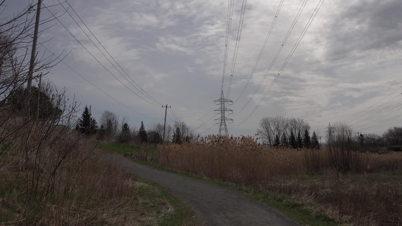 Under a magnificent sky with a few clouds, large electricity transmission poles can be seen. All of this is complemented by beautiful spring vegetation that enhances the scenery.