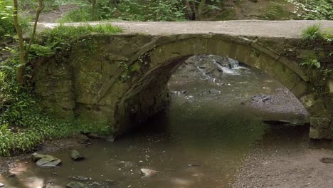 viejo y pacífico puente de piedra sobre bosques exuberantes senderos para caminatas corriente lenta a la derecha