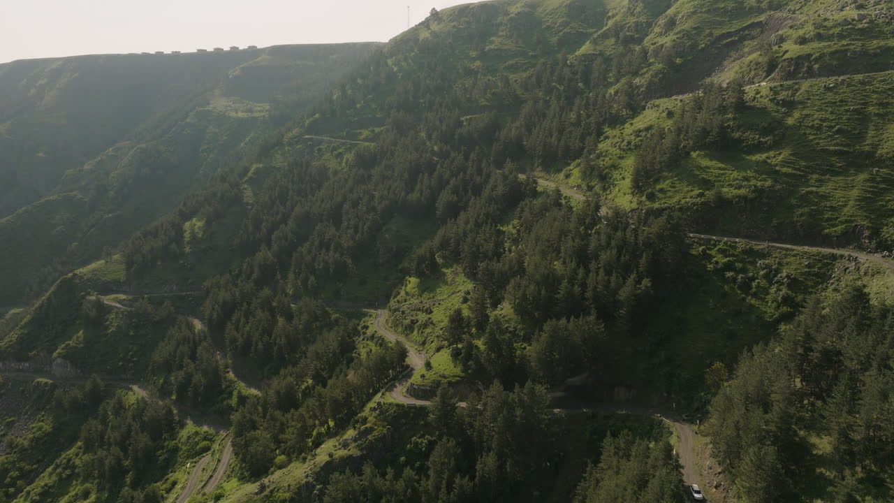 ladera escarpada cubierta de abetos durante el amanecer en la región de samtskhe-javakheti de georgia