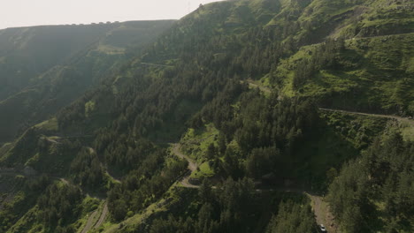 steep mountainside covered with spruce trees during sunrise in samtskhe-javakheti region of georgia