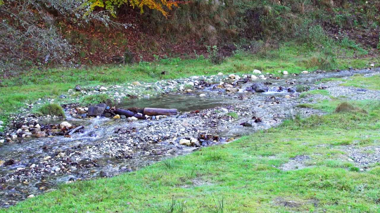 Romanya'da bir tepenin eteğinde, çevresi çimenlik, taşların arasından akan sığ dere - Sabit çekim.