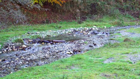 shallow stream flowing among stones with surrounding grass at the base of a hill in romania - static shot